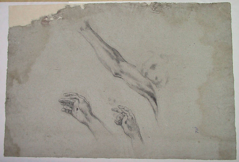 Studio di braccia e mani per crocifisso (disegno, opera isolata) di Ligari Cesare (sec. XVIII)
