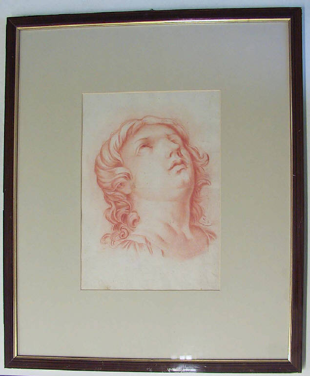 Testa di fanciullo (disegno, opera isolata) di Ligari Vittoria (secondo quarto, terzo quarto sec. XVIII, sec. XVIII)