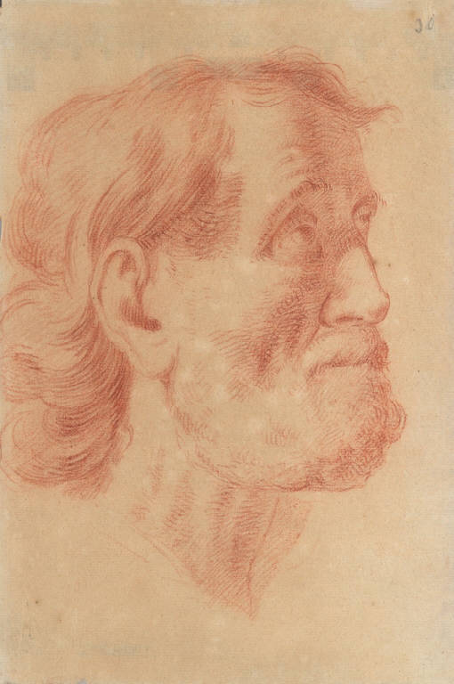 Testa d'uomo di profilo (disegno, opera isolata) di Ligari Cesare (secondo quarto sec. XVIII)