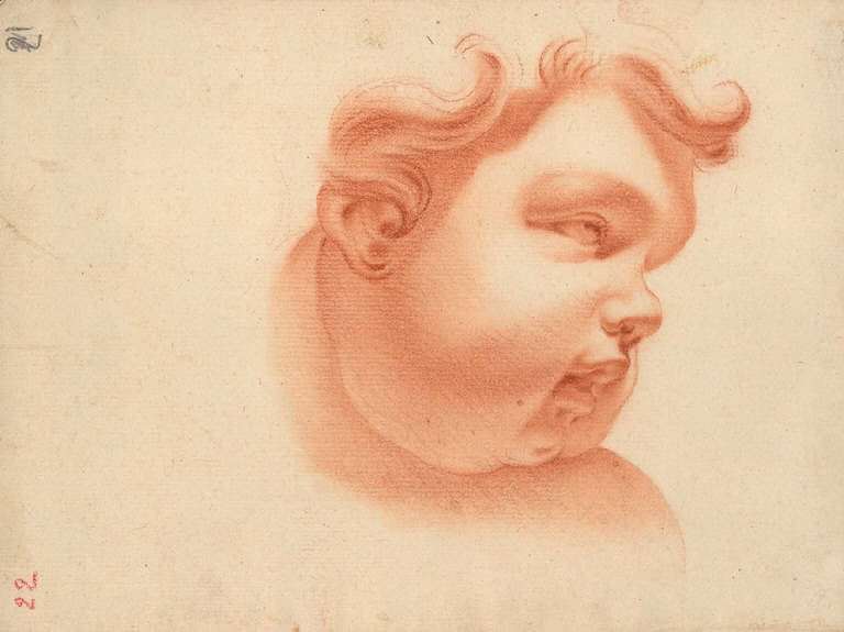 Putto (disegno, opera isolata) di Ligari Giovanni Pietro, Ligari Cesare, Ligari Vittoria (prima metà sec. XVIII)