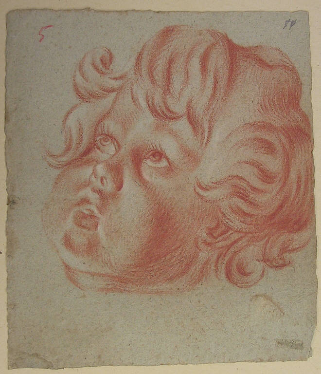 Putto (disegno, opera isolata) di Ligari Giovanni Pietro, Ligari Cesare, Ligari Vittoria (sec. XVIII)