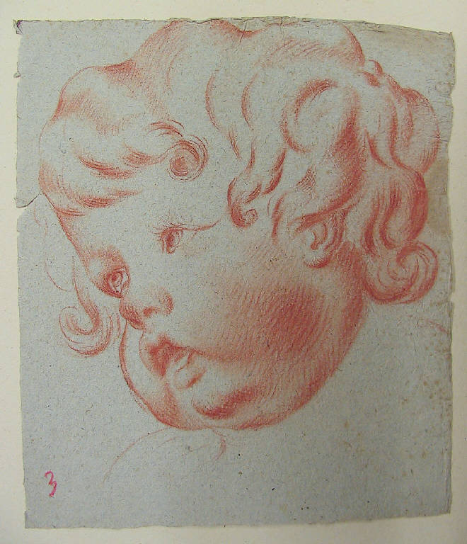Putto (disegno, opera isolata) di Ligari Giovanni Pietro, Ligari Cesare, Ligari Vittoria (sec. XVIII)