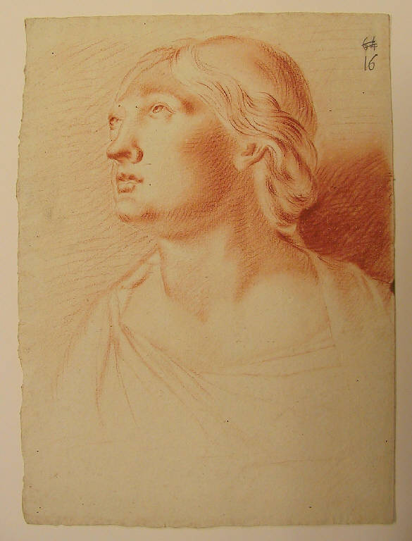 Testa di donna (disegno, opera isolata) di Ligari Giovanni Pietro, Ligari Cesare, Ligari Vittoria (secondo quarto sec. XVIII)