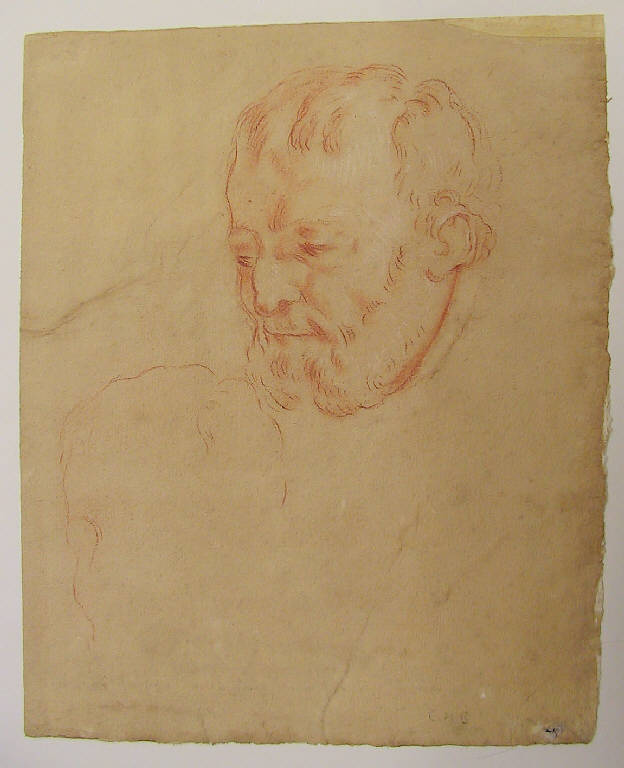 Testa barbuta (disegno, opera isolata) di Ligari Giovanni Pietro (sec. XVIII)