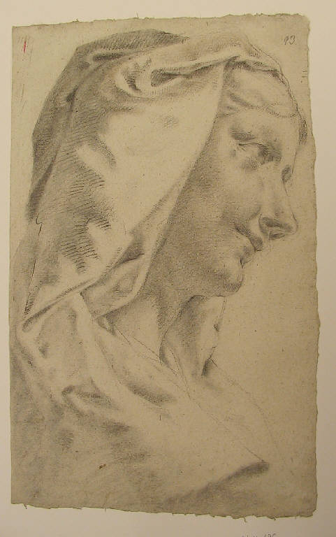 Testa di donna velata (disegno, opera isolata) di Ligari Angelo (prima metà sec. XIX)