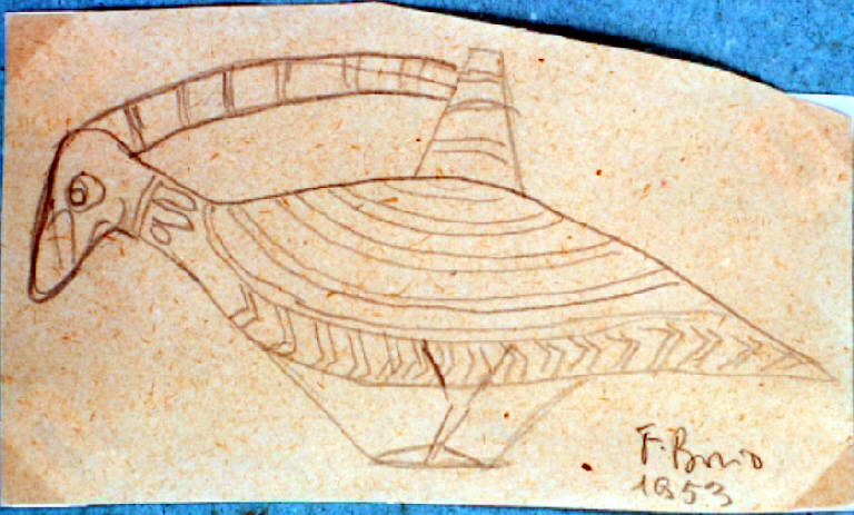 Progetto di brocca uccello, Uccello (disegno, opera isolata) di Borio Fernanda (metà sec. XX)