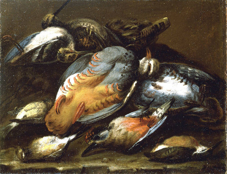 Natura morta con cacciagione (dipinto) di Crivelli Angelo Maria detto Crivellone (sec. XVII)