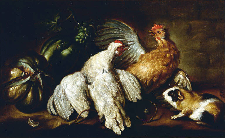 Animali (dipinto) di Cassana Giovanni Agostino (sec. XVIII)