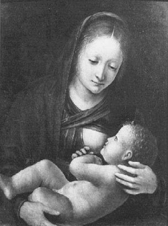 Madonna del Latte (dipinto) di Zenale Bernardino (sec. XVI)
