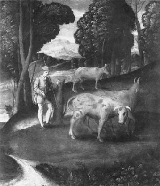 Paesaggio con pastore e mandria (dipinto, opera isolata) di Galizzi Gerolamo detto Gerolamo da Santacroce (attribuito) (sec. XVI)