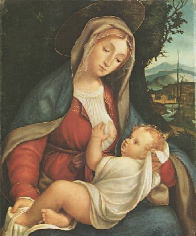 Madonna del Latte (dipinto) di Previtali Andrea (sec. XVI)