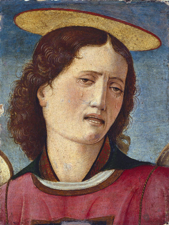 Testa d'angelo (dipinto, frammento) di Vicino da Ferrara (sec. XV)