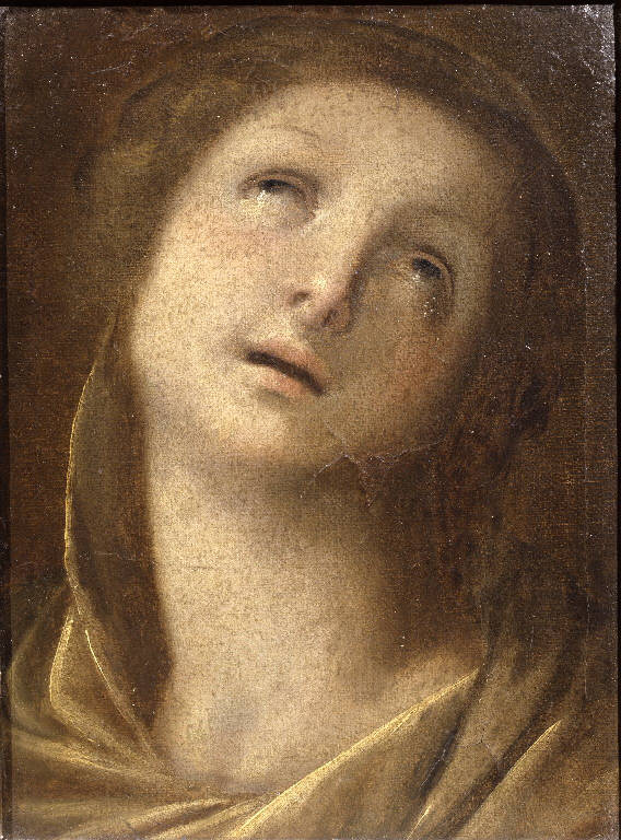 Testa di santa (dipinto) di Procaccini Giulio Cesare (bottega) (sec. XVII)