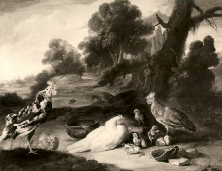 Paesaggio con galli, chioccia e pulcini (dipinto, opera isolata) di Duranti Giorgio (sec. XVIII)