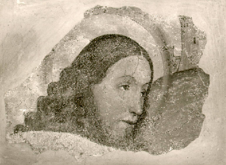 Volto di Cristo (dipinto, opera isolata) di Ferramola Floriano (inizio sec. XVI)