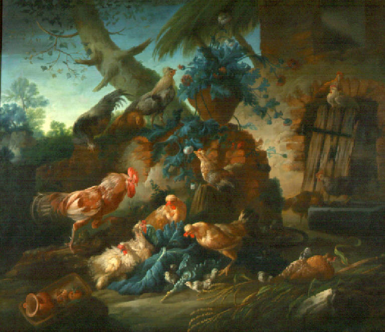 Pollame (dipinto, opera isolata) di Duranti Giorgio (sec. XVIII)