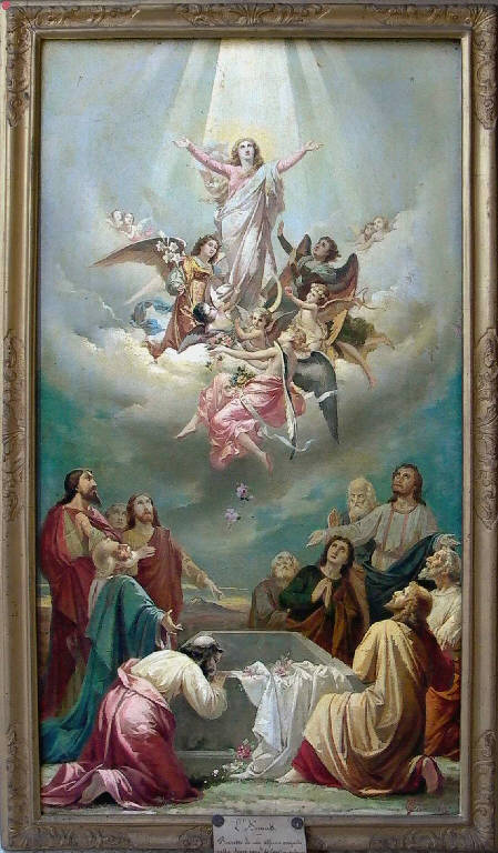 Assunzione della Madonna (dipinto, opera isolata) di Carnelli Giuseppe (primo quarto sec. XX)