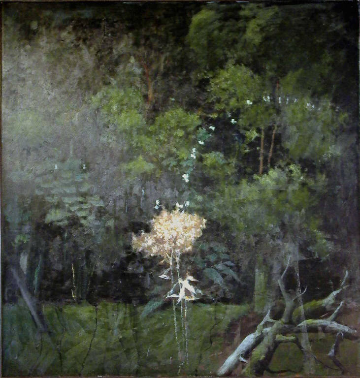 Fiore secco e farfalle, Bosco con fiore secco e farfalle (dipinto, opera isolata) di Repossi Giovanni (sec. XX)