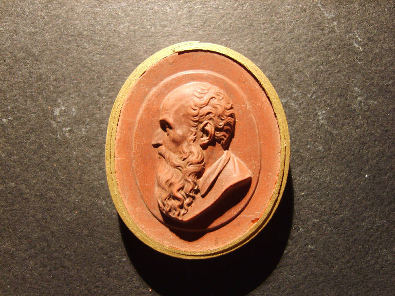 Testa maschile barbuta di profilo (calco, opera isolata) - ambito italiano (prima metà sec. XIX)