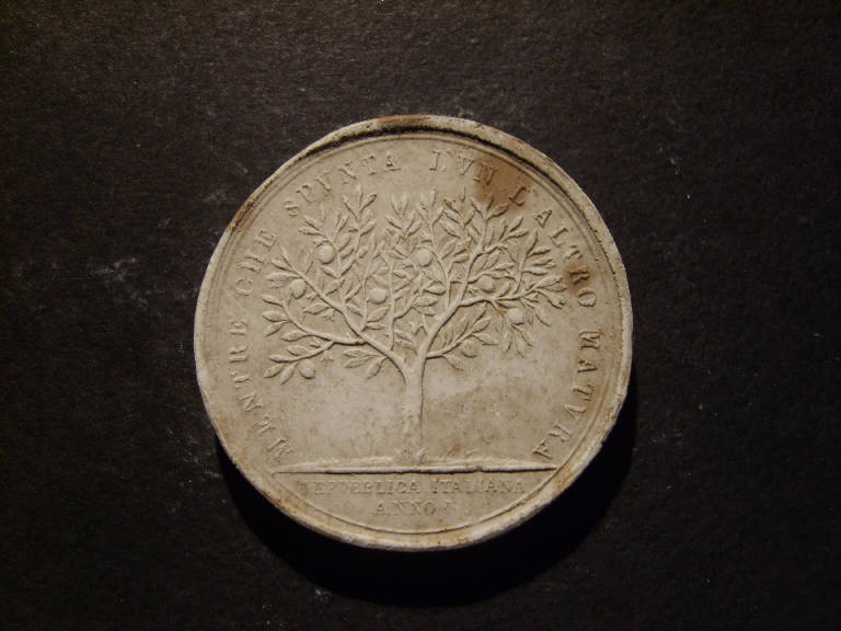 Allegoria della Repubblica Italiana (calco, opera isolata) - ambito italiano (prima metà sec. XIX)