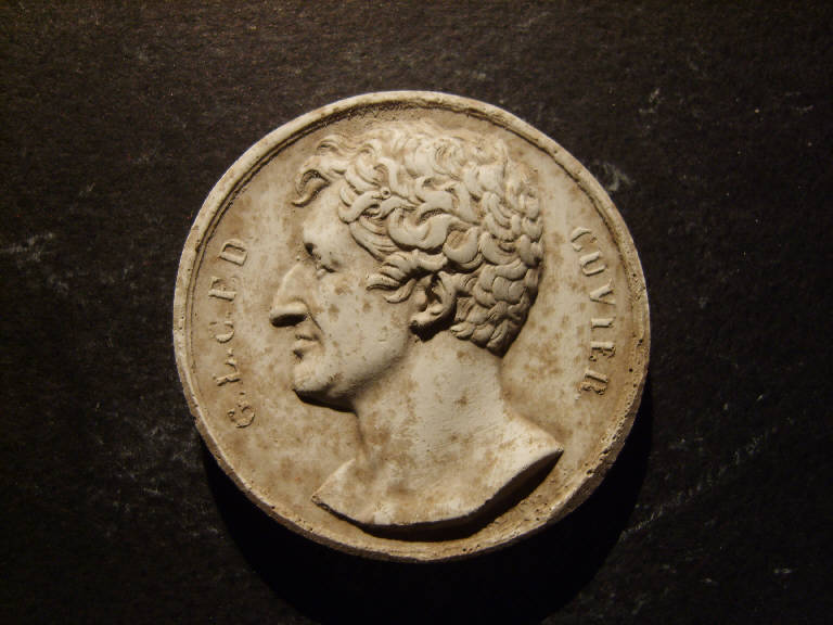 Ritratto di Georges Leopold Chretien Frédéric Dagobert Cuvier (calco, opera isolata) - ambito italiano (prima metà sec. XIX)