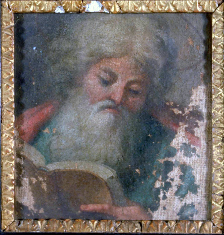TESTA DI SANTO (dipinto) di Campi Bernardino (bottega) (ultimo quarto secc. XVI)