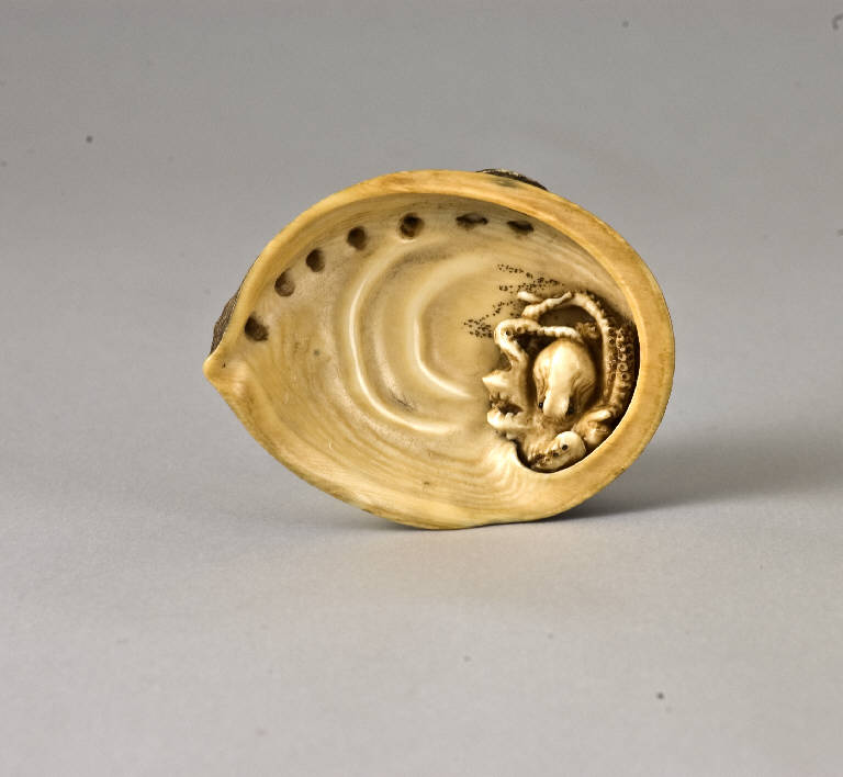Polipo all'interno di una conchiglia, Conchiglia e polipo (scultura, opera isolata) di Hidemasa II (bottega) (metà sec. XIX)