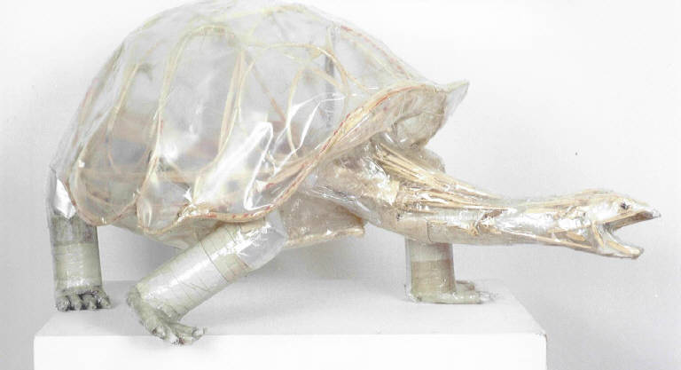 Tartaruga, Animale (scultura, opera isolata) di Pieroni Mariano (inizio sec. XXI)