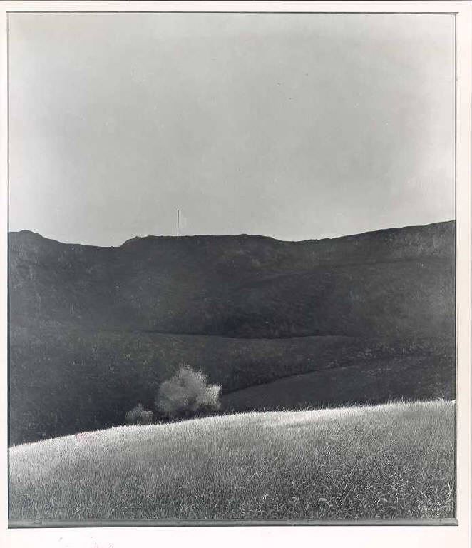 Dolce pendio, Paesaggio collinare (dipinto, opera isolata) di Timoncini Luigi (ultimo quarto sec. XX)