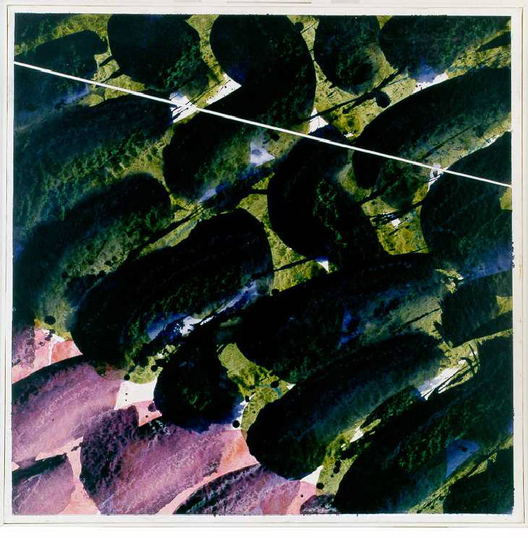 Senza titolo, Composizione di forme curvilinee libere (dipinto, opera isolata) di Molinari Angelo (fine sec. XX)