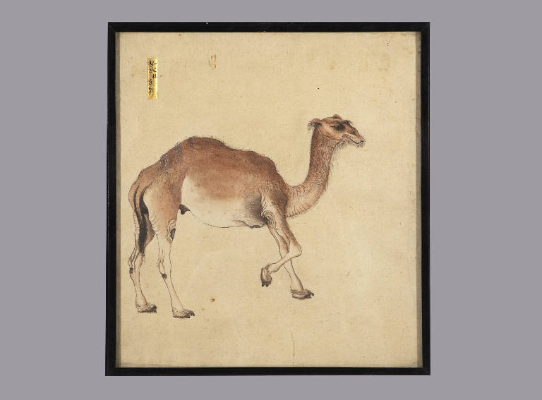 Dromedario (dipinto) - manifattura giapponese (sec. XIX)