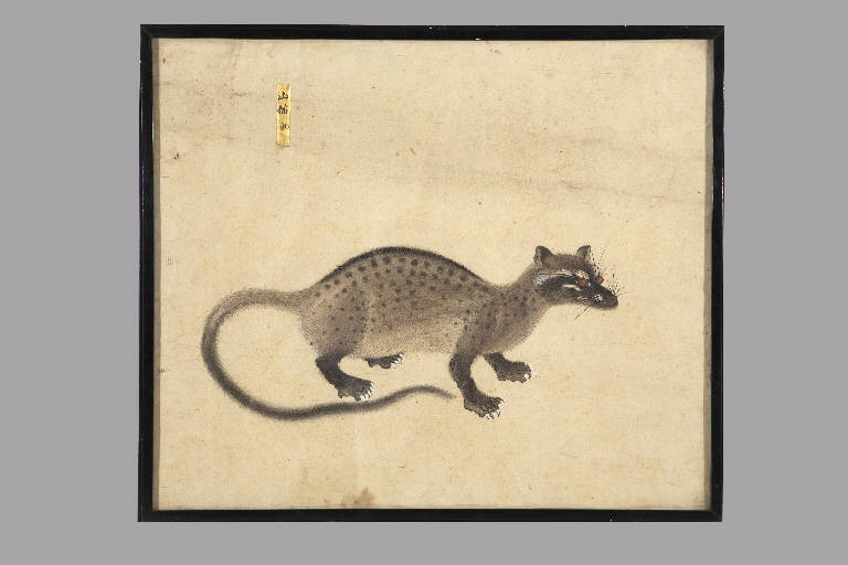 Mammifero (dipinto) - manifattura giapponese (sec. XIX)