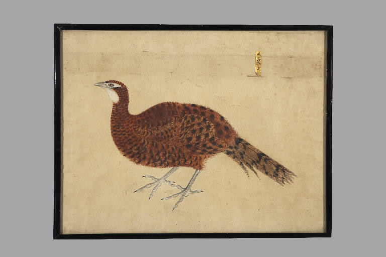 Uccello (dipinto) - manifattura giapponese (sec. XIX)