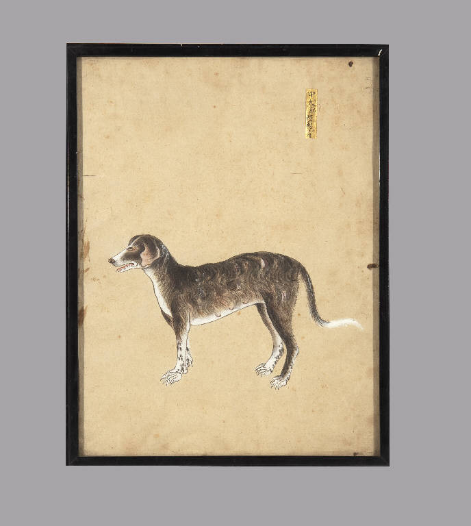 Cane (dipinto) - manifattura giapponese (sec. XIX)
