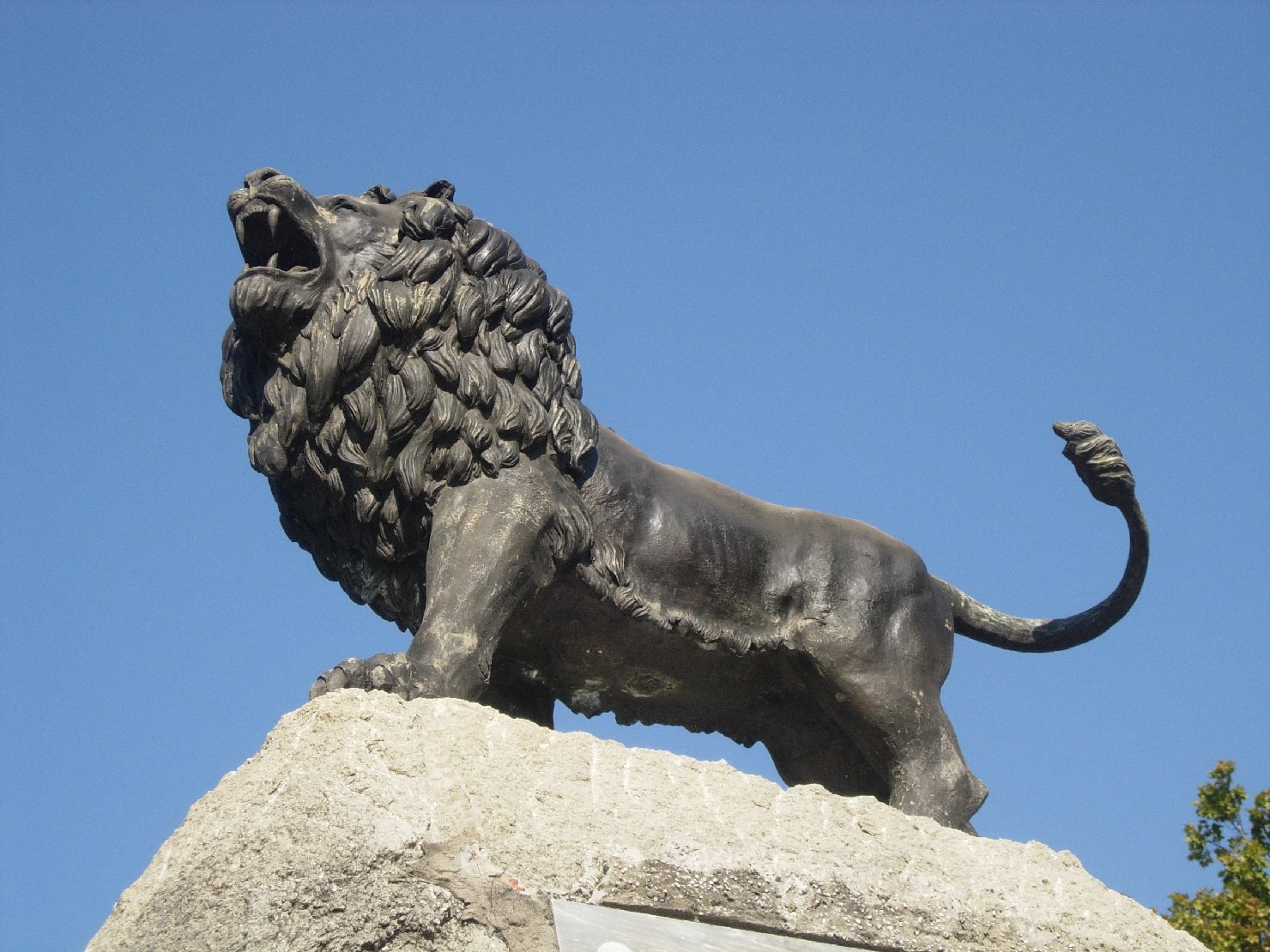 leone (monumento ai caduti - a cippo) di Masi Giacomo, Manfredini Armando (sec. XX, sec. XXI)