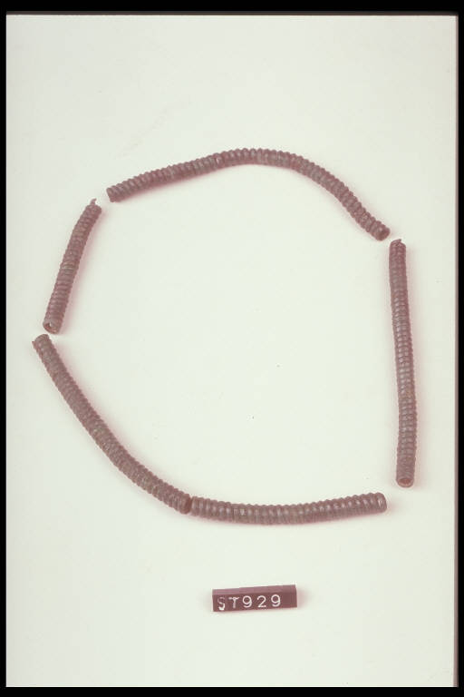 saltaleone - cultura di Golasecca (sec. VII a.C)