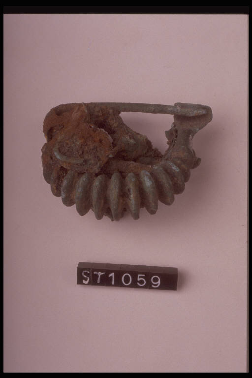 fibula a grandi coste - cultura di Golasecca (sec. VII a.C)