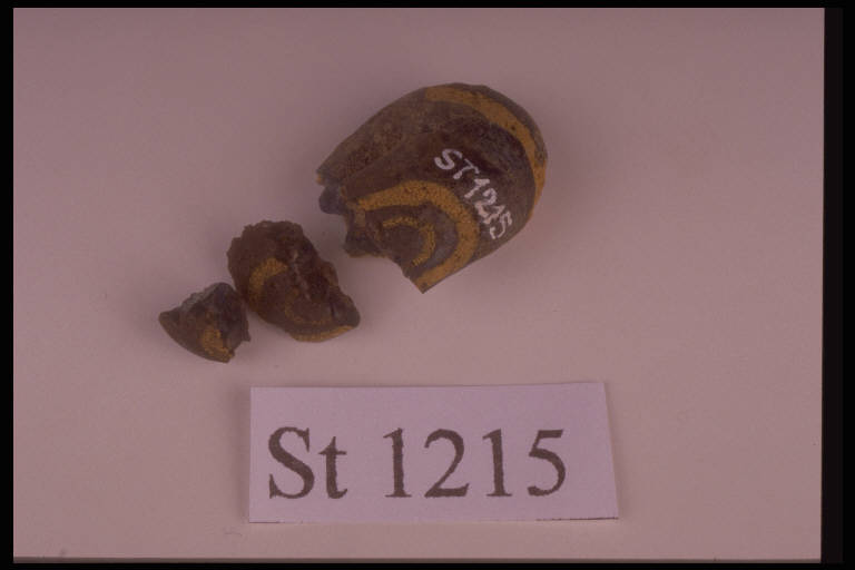 vago - cultura di Golasecca (terzo quarto sec. VI a.C)