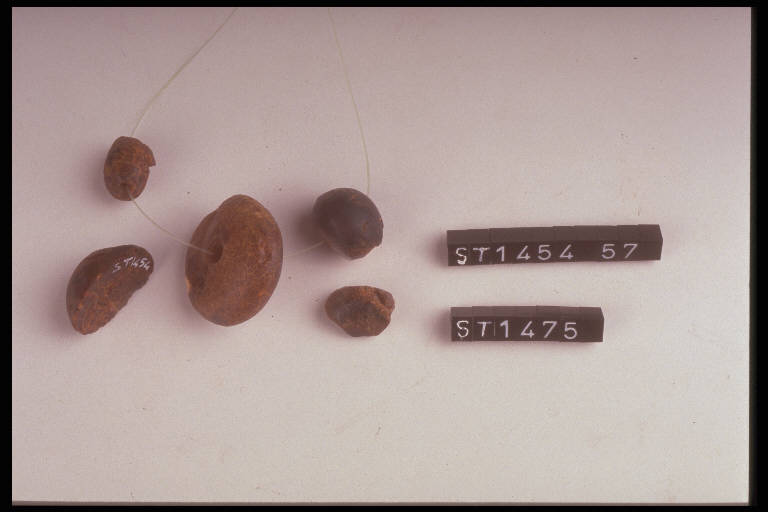 vago - cultura di Golasecca (ultimo quarto sec. V a.C)