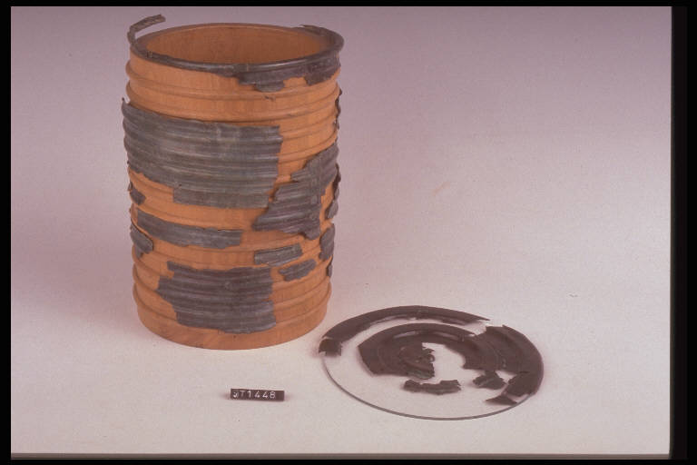 cista - cultura di Golasecca (fine/ inizio secc. VI/ V a.C)