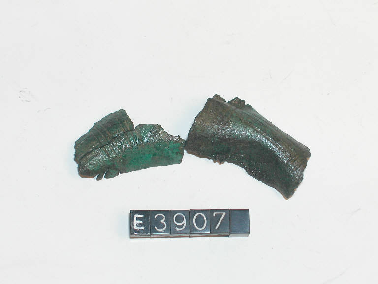 fibula a sanguisuga - cultura di Golasecca (fine/ inizio secc. VI/ V a.C)