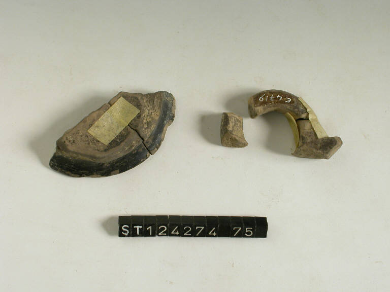 ansa ad anello - cultura di Golasecca (prima metà sec. VI a.C)