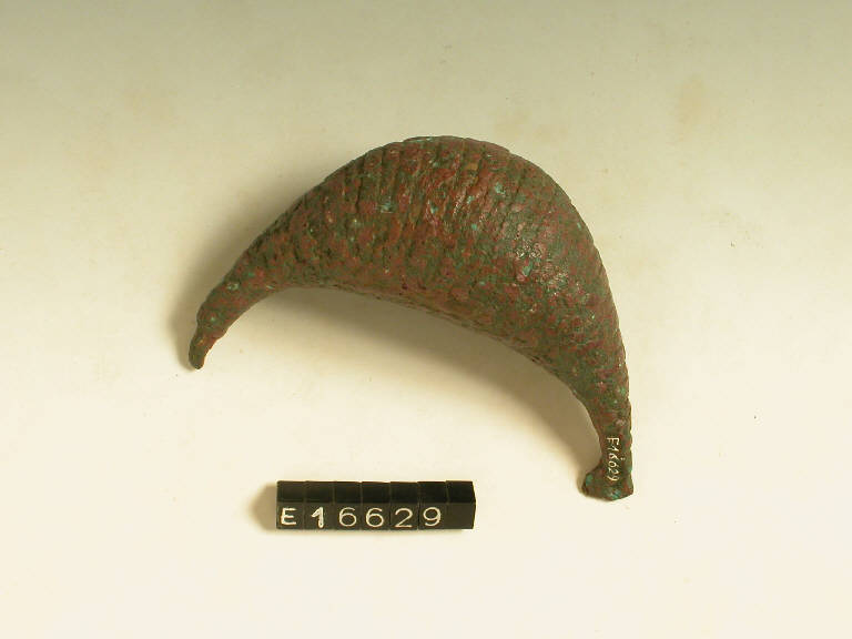 fibula a sanguisuga - cultura di Golasecca (sec. V a.C)