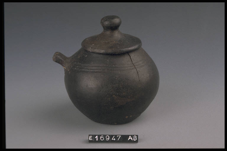 coperchio con presa sagomata - cultura di Golasecca (secc. VIII/ VII a.C)