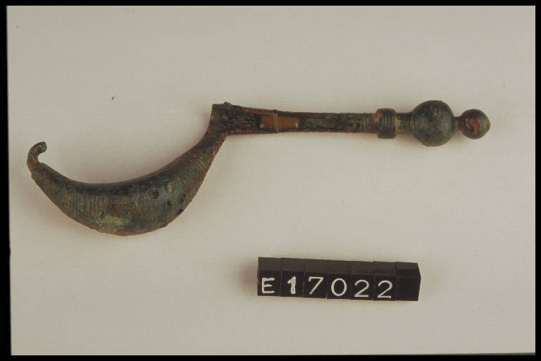 fibula a sanguisuga - cultura di Golasecca (fine/ inizio secc. VI/ V a.C)