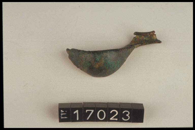 fibula a sanguisuga - cultura di Golasecca (fine/ inizio secc. VI/ V a.C)