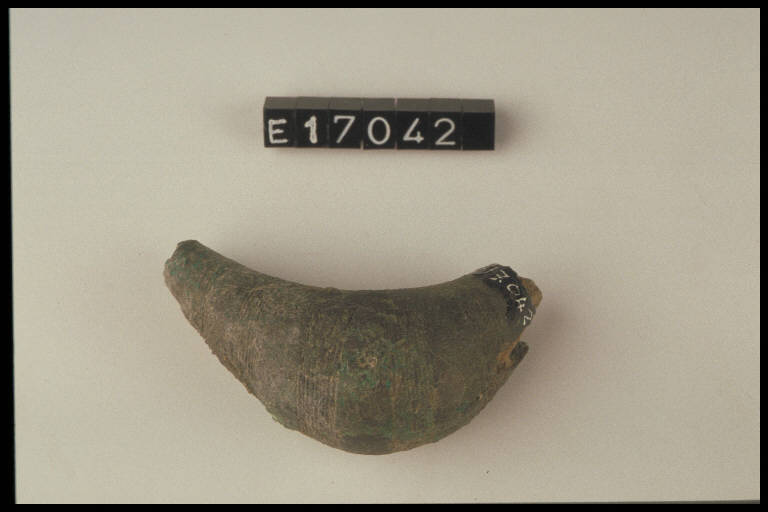 fibula a sanguisuga - cultura di Golasecca (secc. V/ IV a.C)