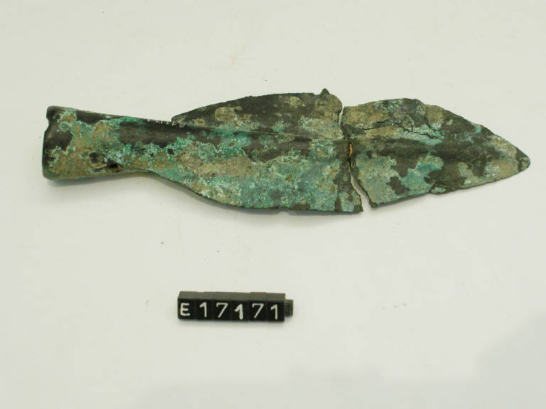 punta di lancia - periodo di età del Bronzo (sec. XIV a.C)