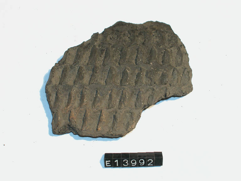 olla - cultura La Tène (secc. II/ I a.C)