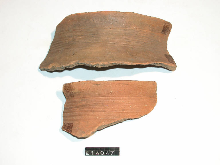 urna - cultura di Golasecca (secc. VI/ V a.C)